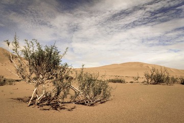 20130806-img_7724193-2.jpg