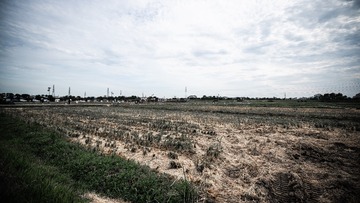 886006