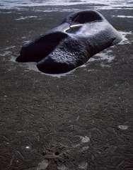 g43