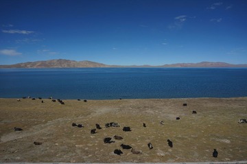 DSC08200.JPG