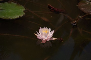 DSC07148.JPG