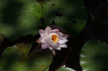 DSC07154.JPG