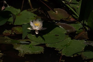 DSC07179.JPG