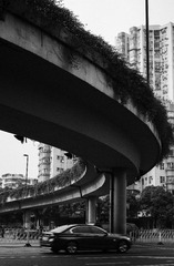 DSCF8729_1