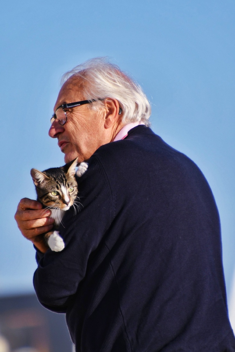老人与猫
