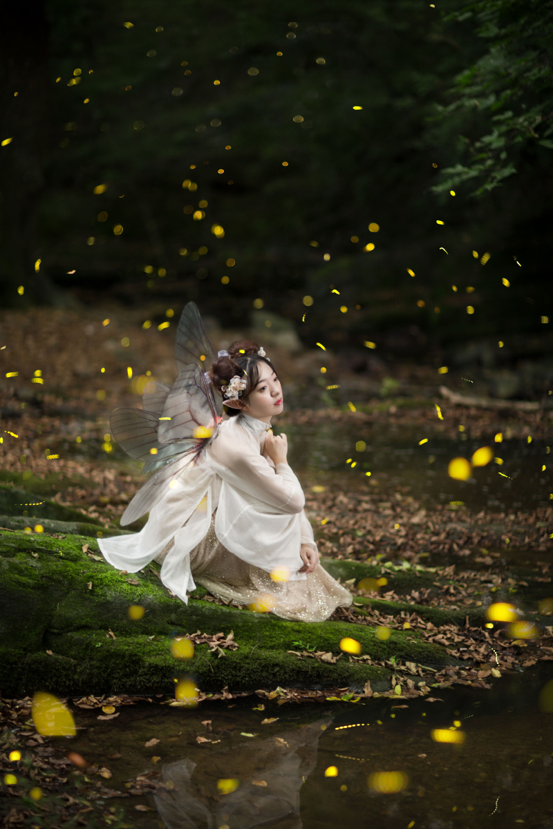 季夏之月·腐草为萤