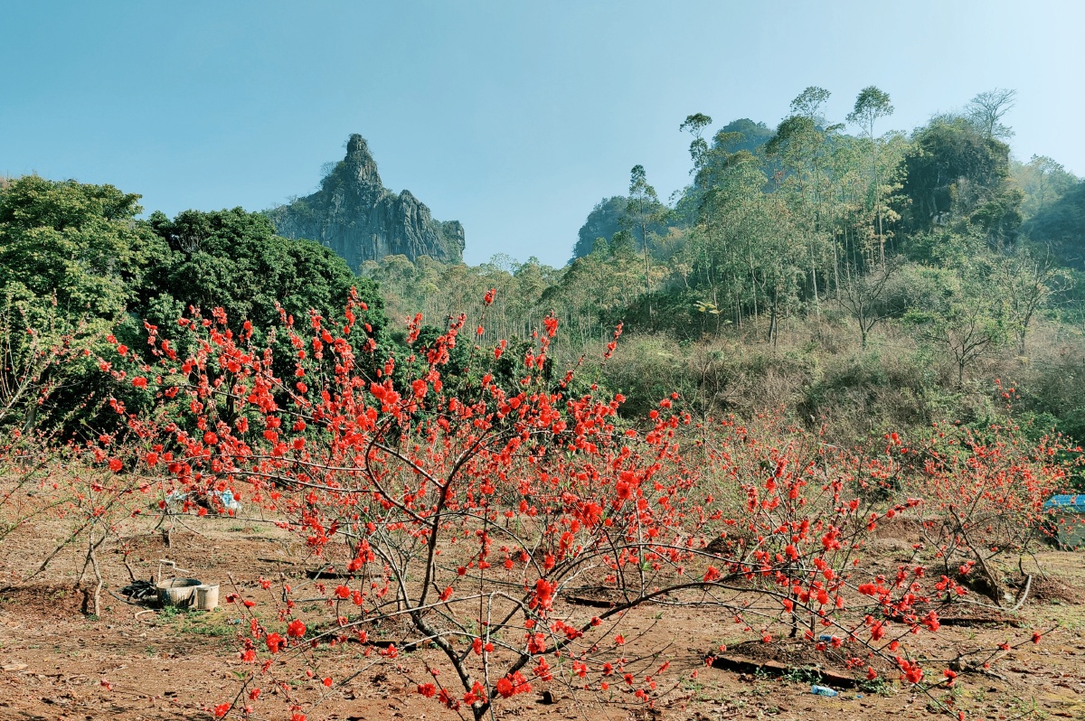光阴含笑岁月凝香云浮罗定玉溪三洞