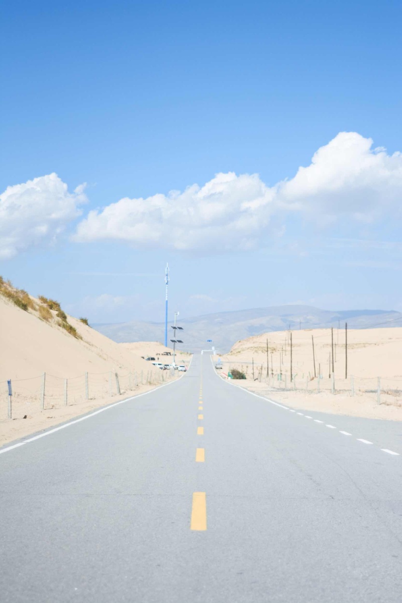 那些你很冒险的梦,我陪你去疯