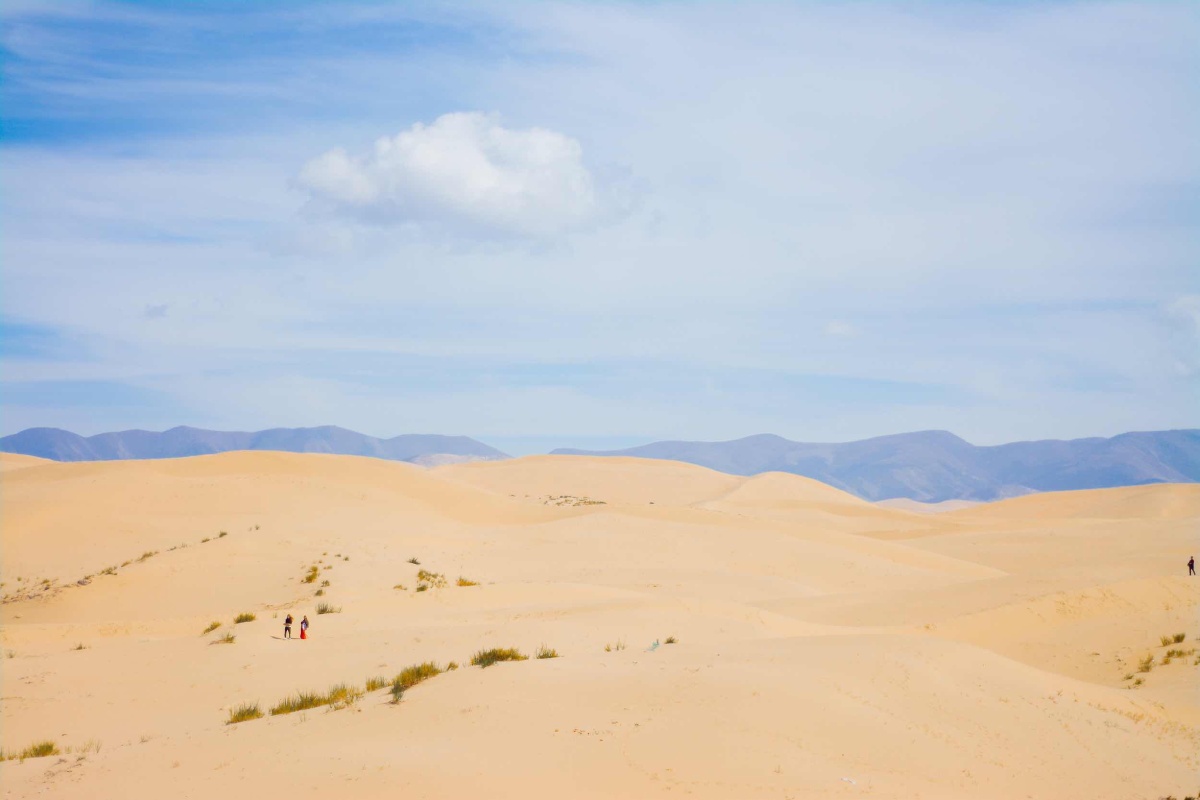 那些你很冒险的梦,我陪你去疯