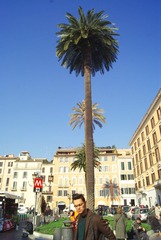 P.ZZA Mignanelli