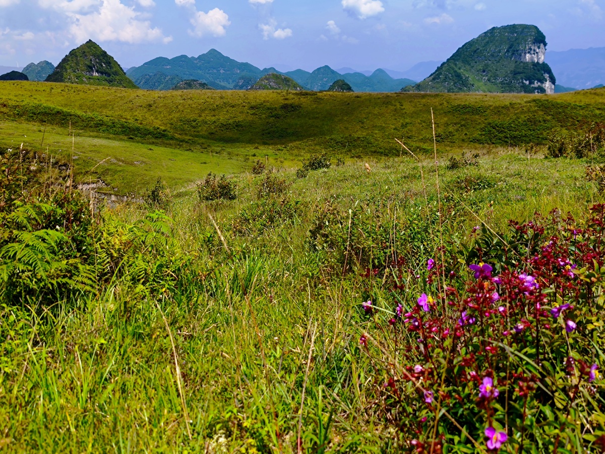 阿西里西大草原