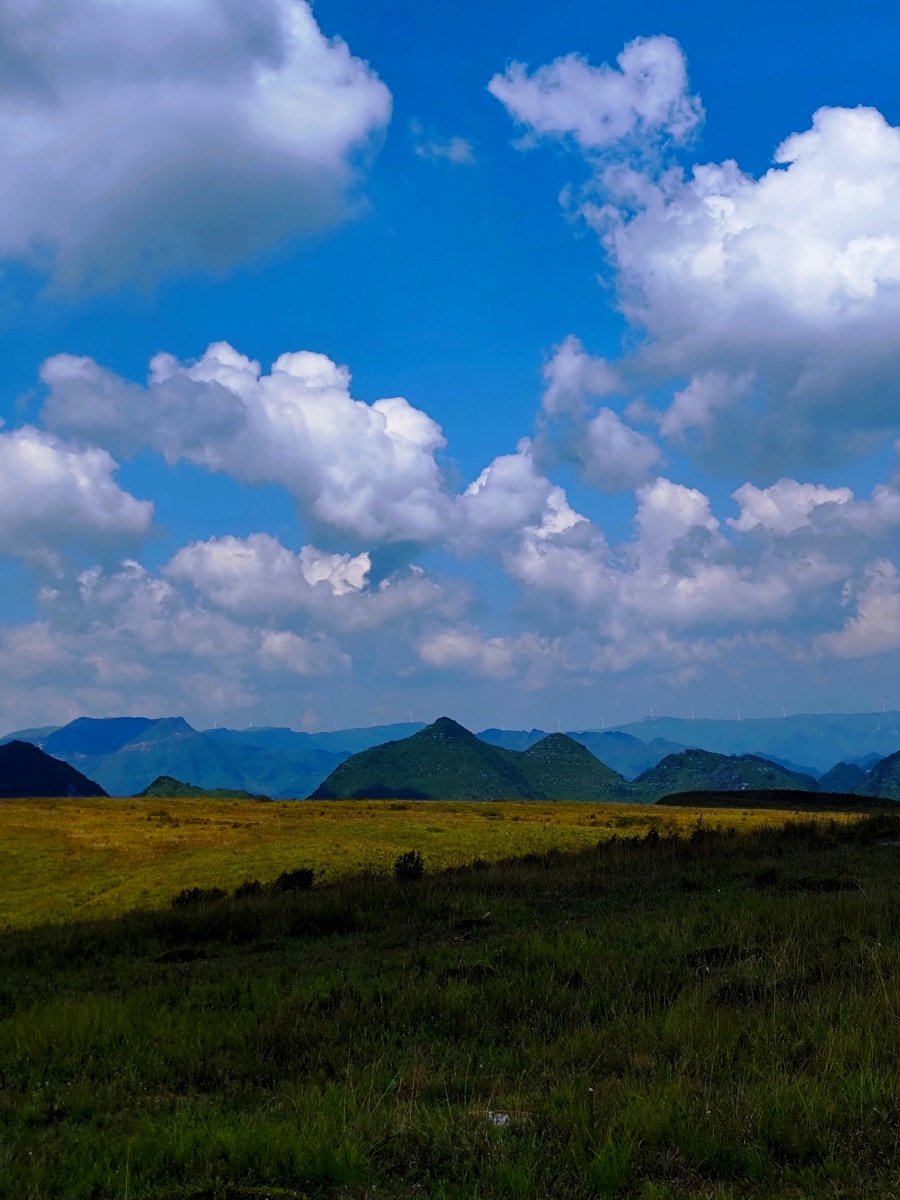 阿西里西大草原