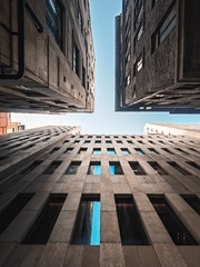 1000098610