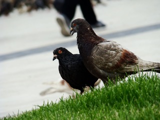 DSC05723.JPG