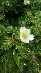 20180420_154412
