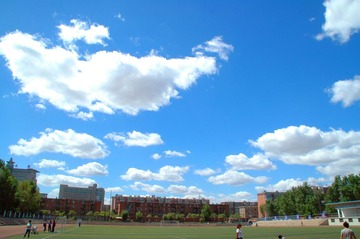 DSC_6874.JPG