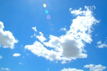 DSC_6885.JPG