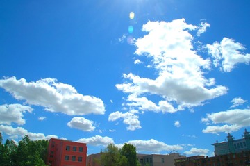 DSC_6890.JPG