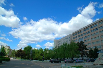 DSC_6897.JPG