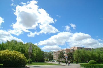 DSC_6900.JPG