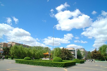 DSC_6901.JPG