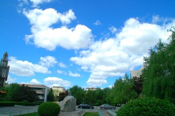 DSC_6905.JPG