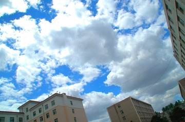 DSC_6918.JPG