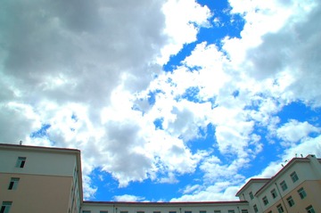 DSC_6919.JPG
