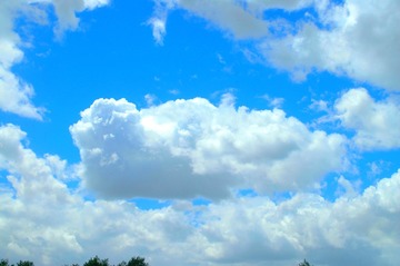 DSC_6927.JPG