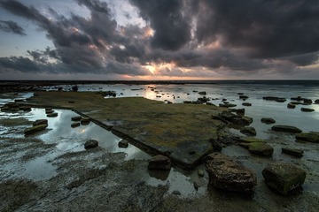 DSC_4830.jpg-1.jpg