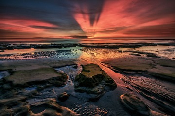DSC_4733.jpg-1.jpg
