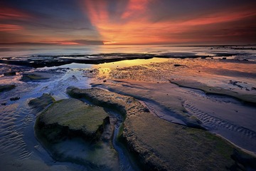 DSC_4731.jpg-1.jpg