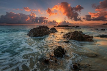 DSC_4913.jpg-1.jpg