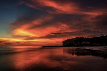 DSC_4612.jpg-1.jpg