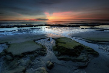 DSC_4736.jpg-1.jpg