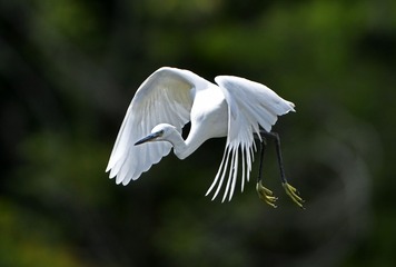 87874