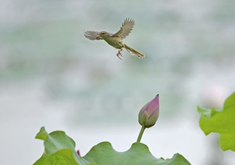 11318