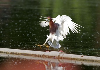 8958