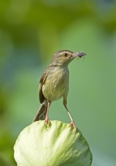13350