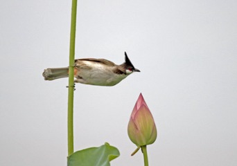 10307