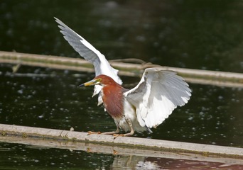 8957