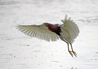 8948
