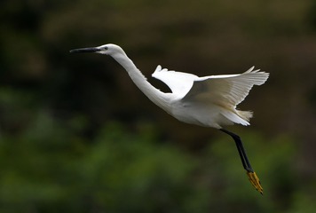 92201