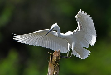 112039