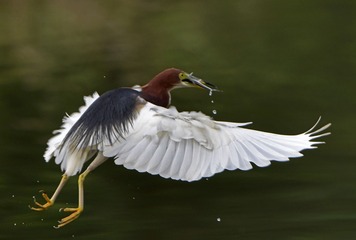 112007