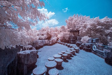 A0A72328-D527-485A-97E2-48CA9F749B1B/L0/001