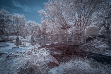 C5F259DB-8687-441D-931E-AC11BDBB8367/L0/001