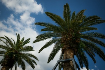 4E88E8EA-0642-42D6-9CC4-97E321AA93BF/L0/001