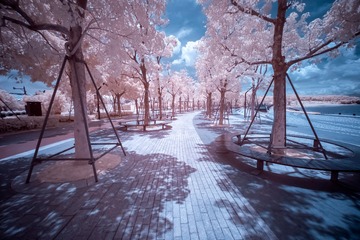 347A2C80-37D3-4D66-B279-08A9A3CD49F2/L0/001