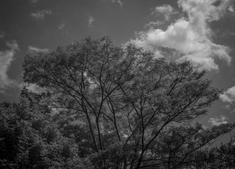 DA1846AB-87D8-499C-A262-7B6DEEFD11C4/L0/001